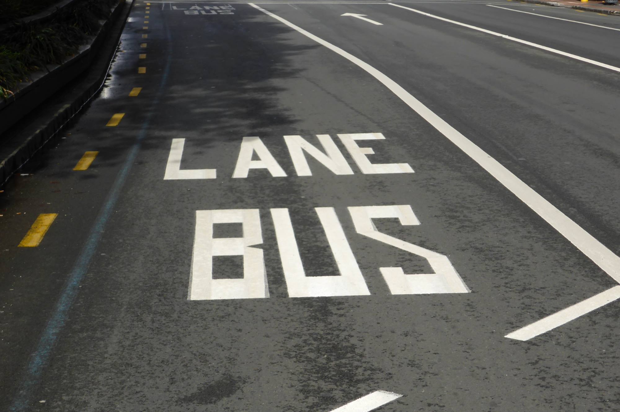 Bus Lane Rules